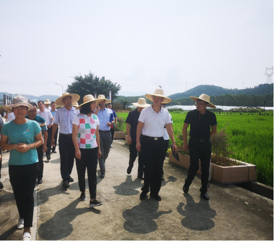 极速28网(中国)官方网站