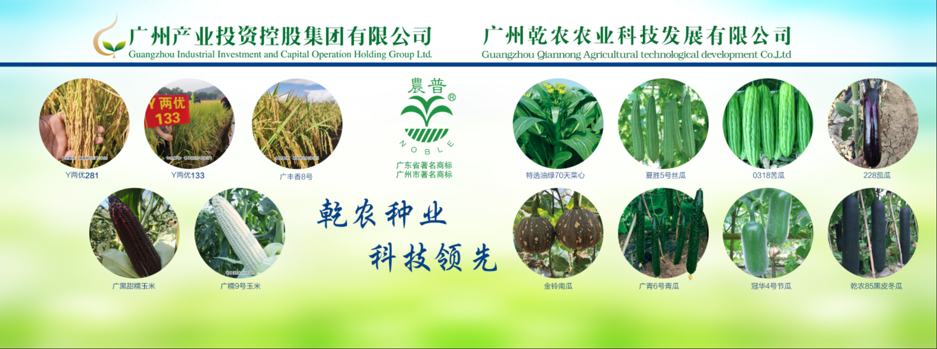 极速28网(中国)官方网站