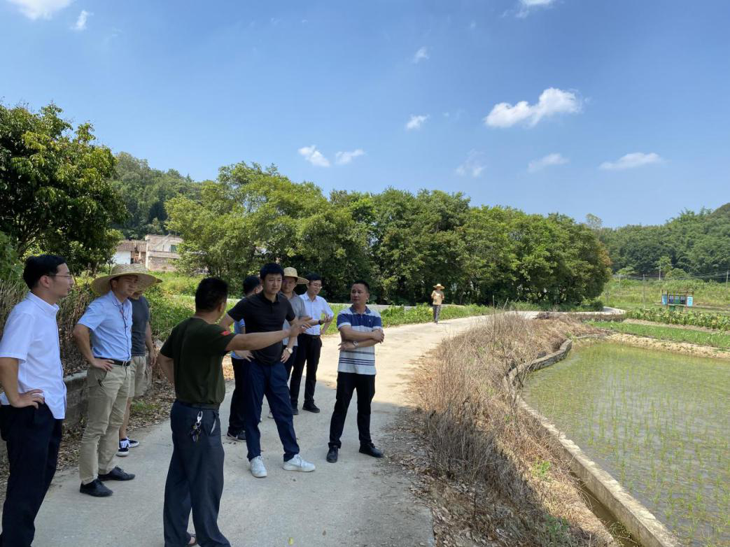 极速28网(中国)官方网站