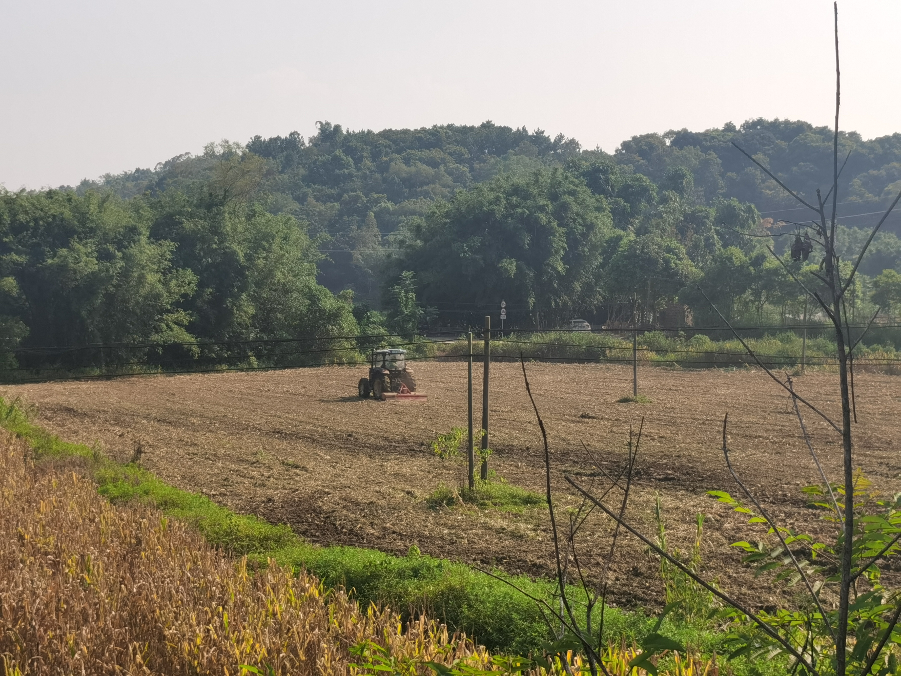 极速28网(中国)官方网站