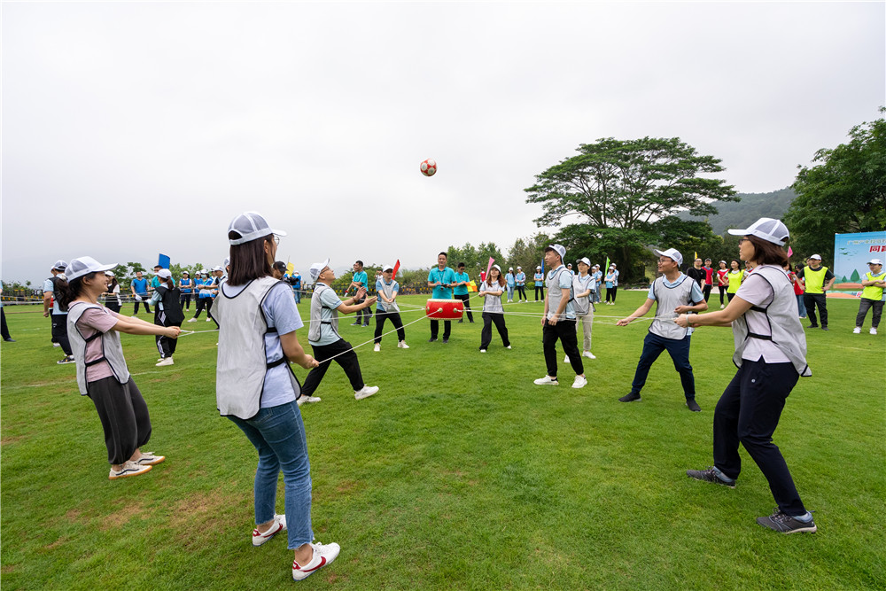 极速28网(中国)官方网站