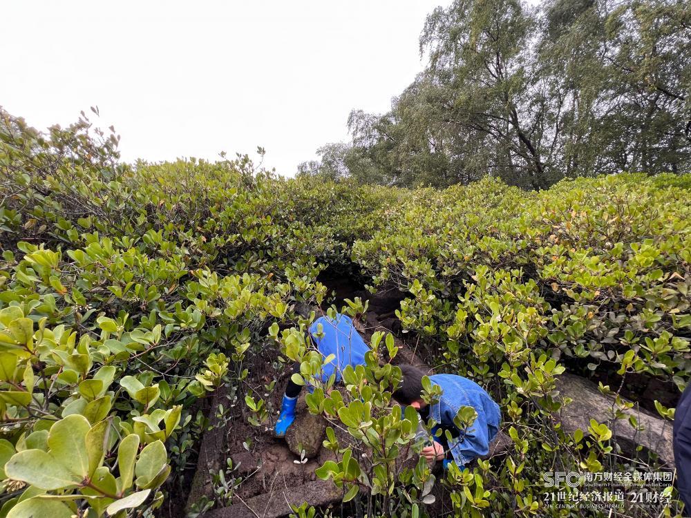 极速28网(中国)官方网站