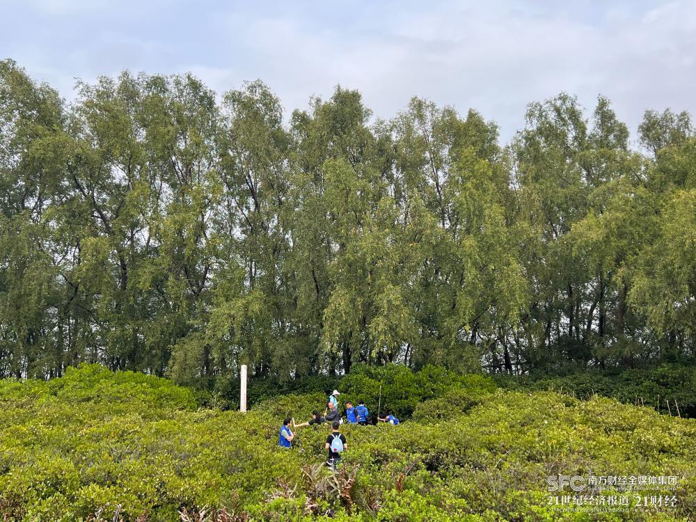 极速28网(中国)官方网站