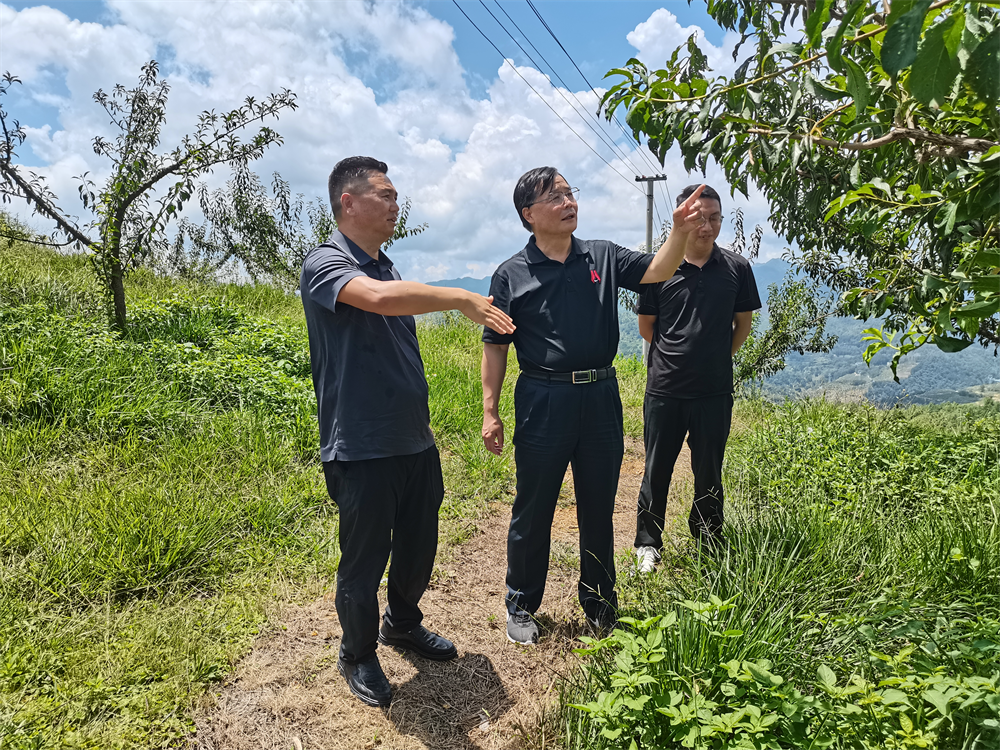 极速28网(中国)官方网站