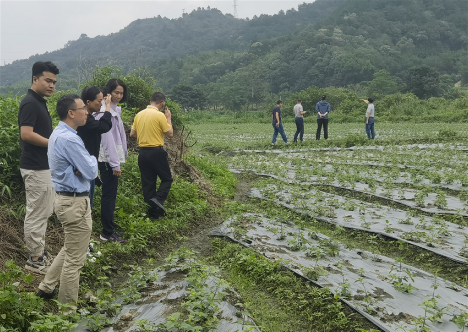 极速28网(中国)官方网站