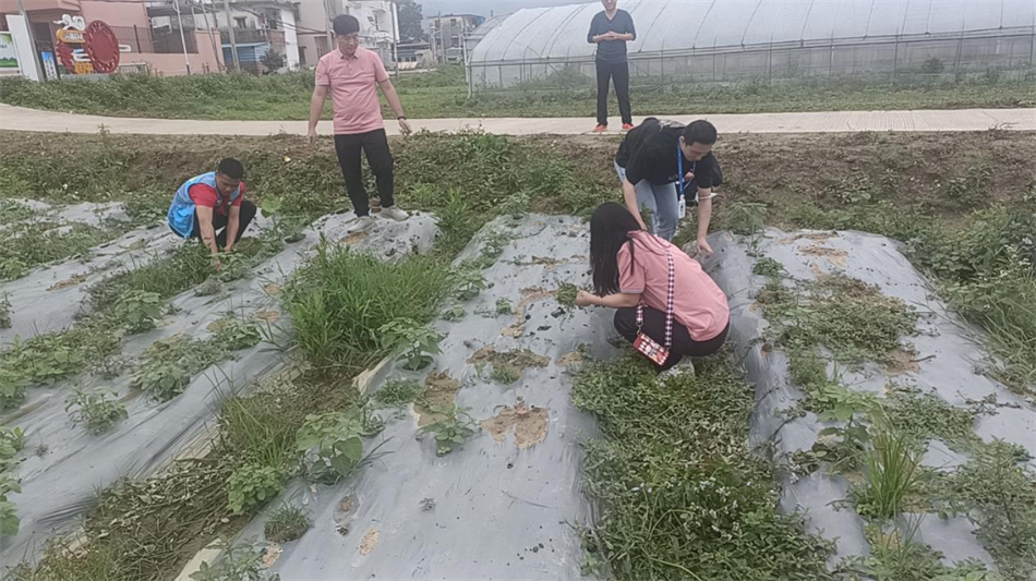 极速28网(中国)官方网站