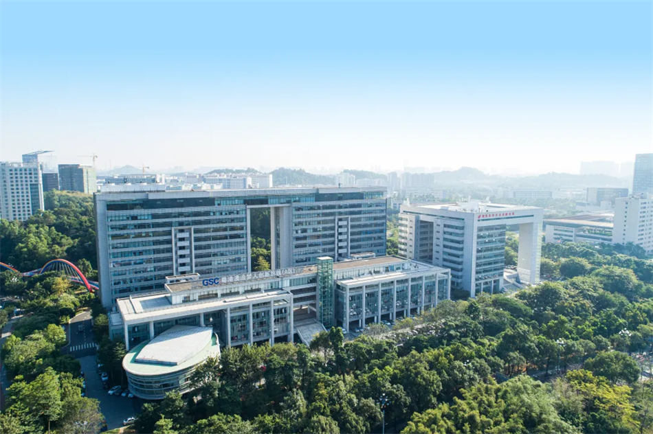 极速28网(中国)官方网站