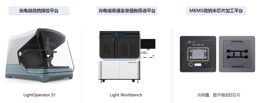 极速28网(中国)官方网站