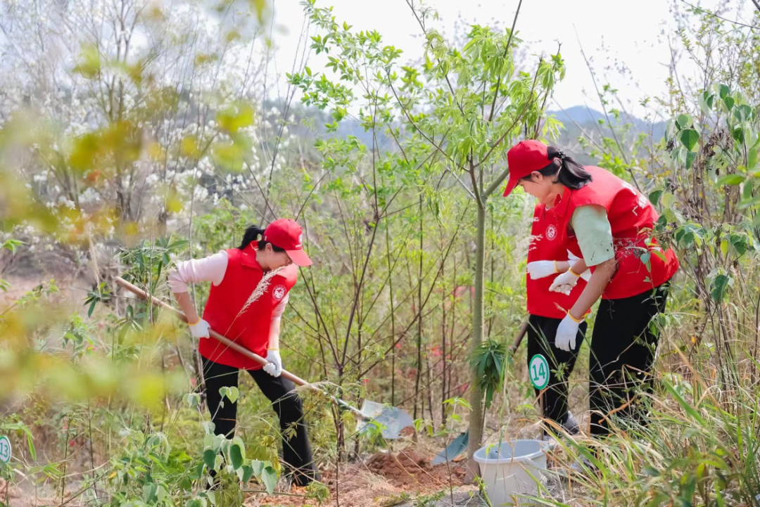 极速28网(中国)官方网站