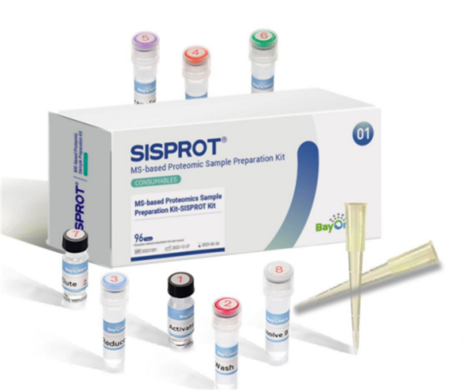 极速28网(中国)官方网站