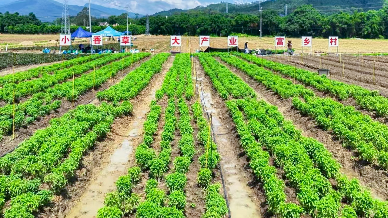 极速28网(中国)官方网站