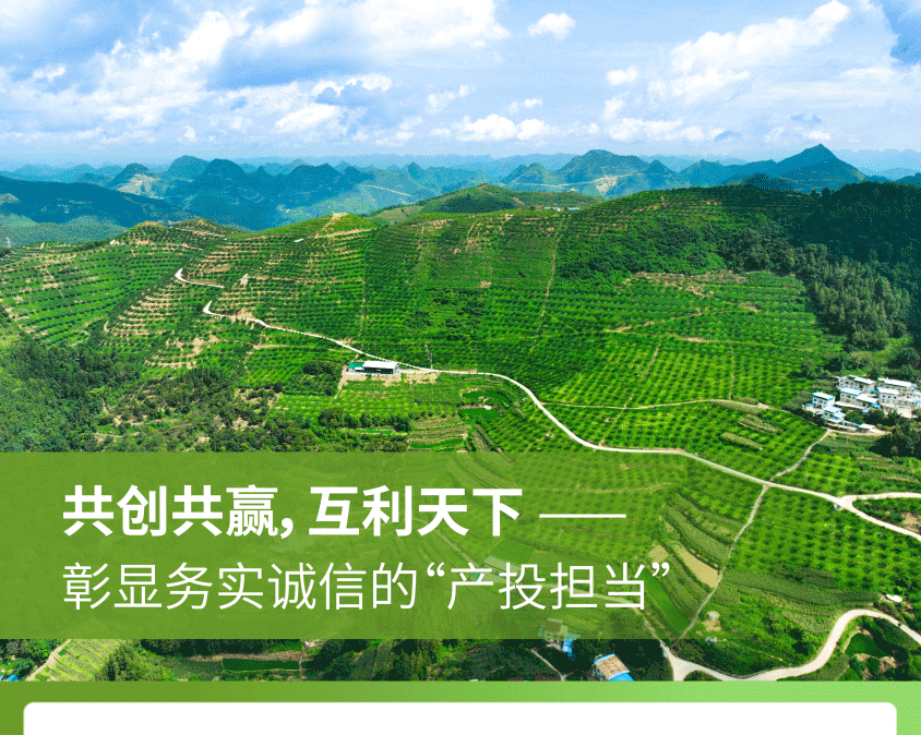 极速28网(中国)官方网站