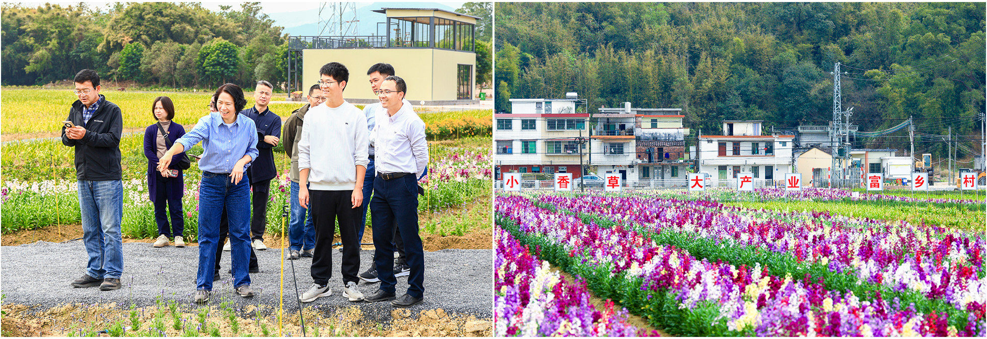 极速28网(中国)官方网站