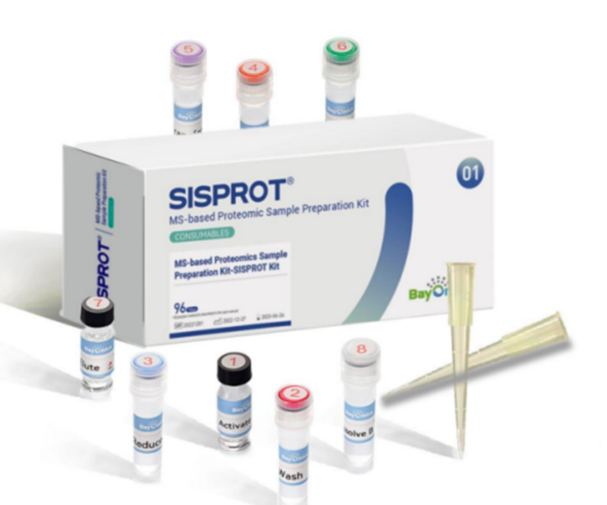 极速28网(中国)官方网站