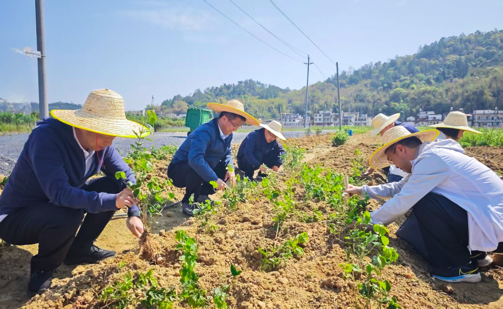 极速28网(中国)官方网站