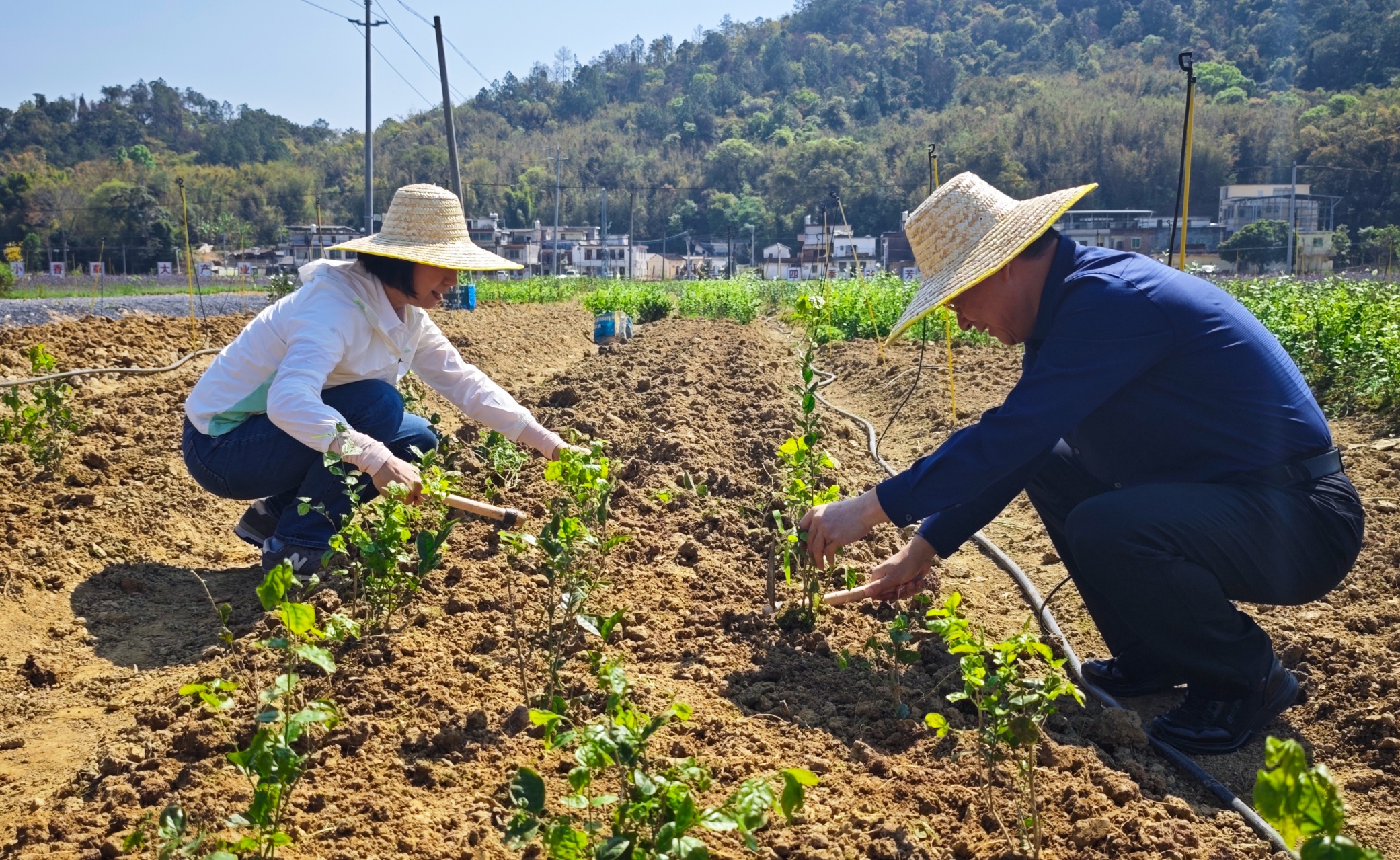 极速28网(中国)官方网站