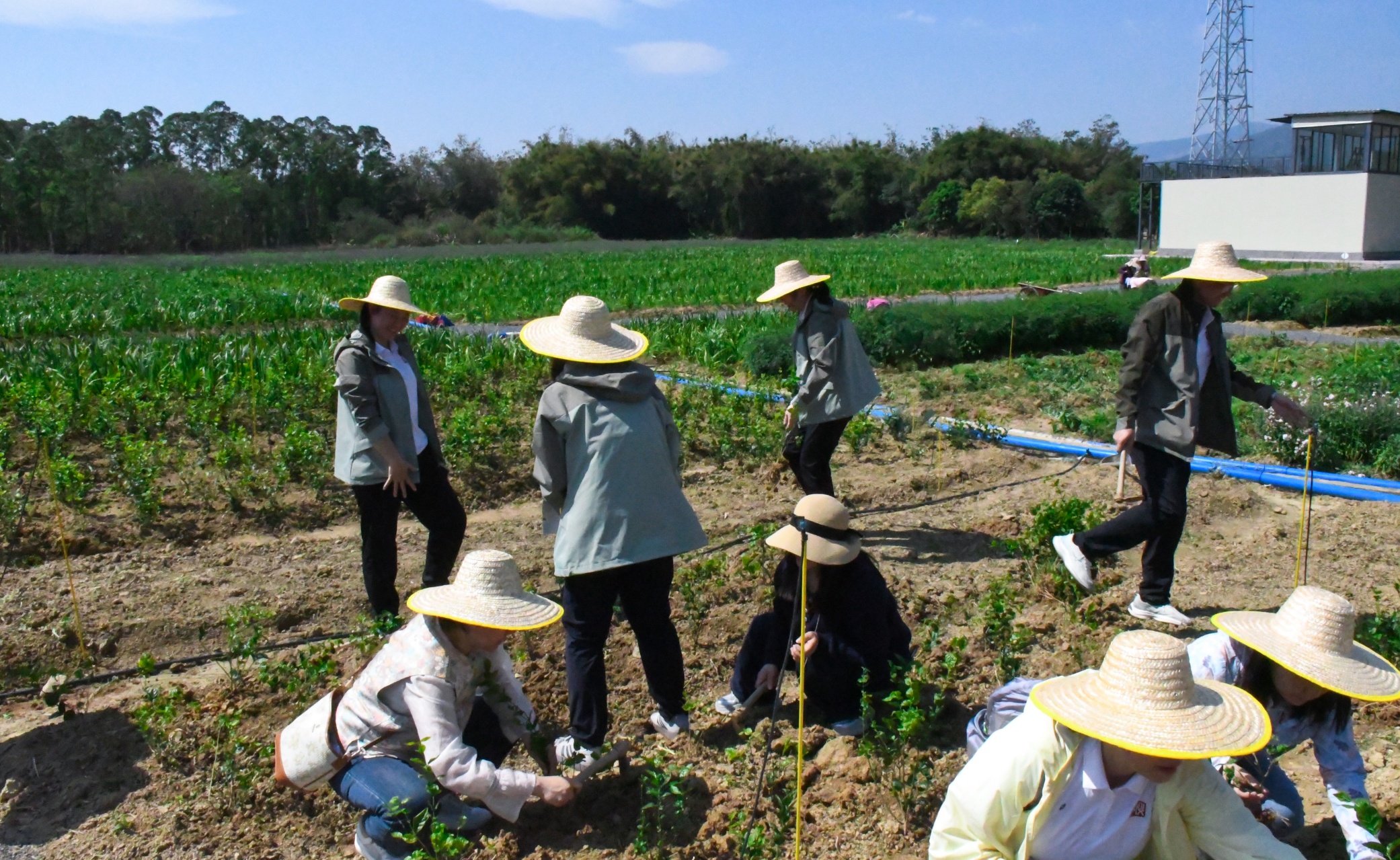 极速28网(中国)官方网站